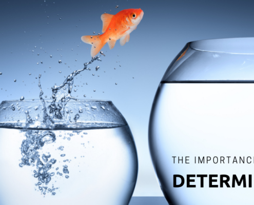 The Importance of Determination